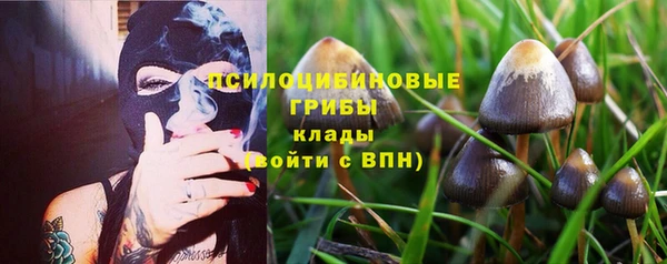 марки lsd Касимов