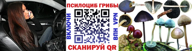 Галлюциногенные грибы GOLDEN TEACHER  Купить где  Боровичи 